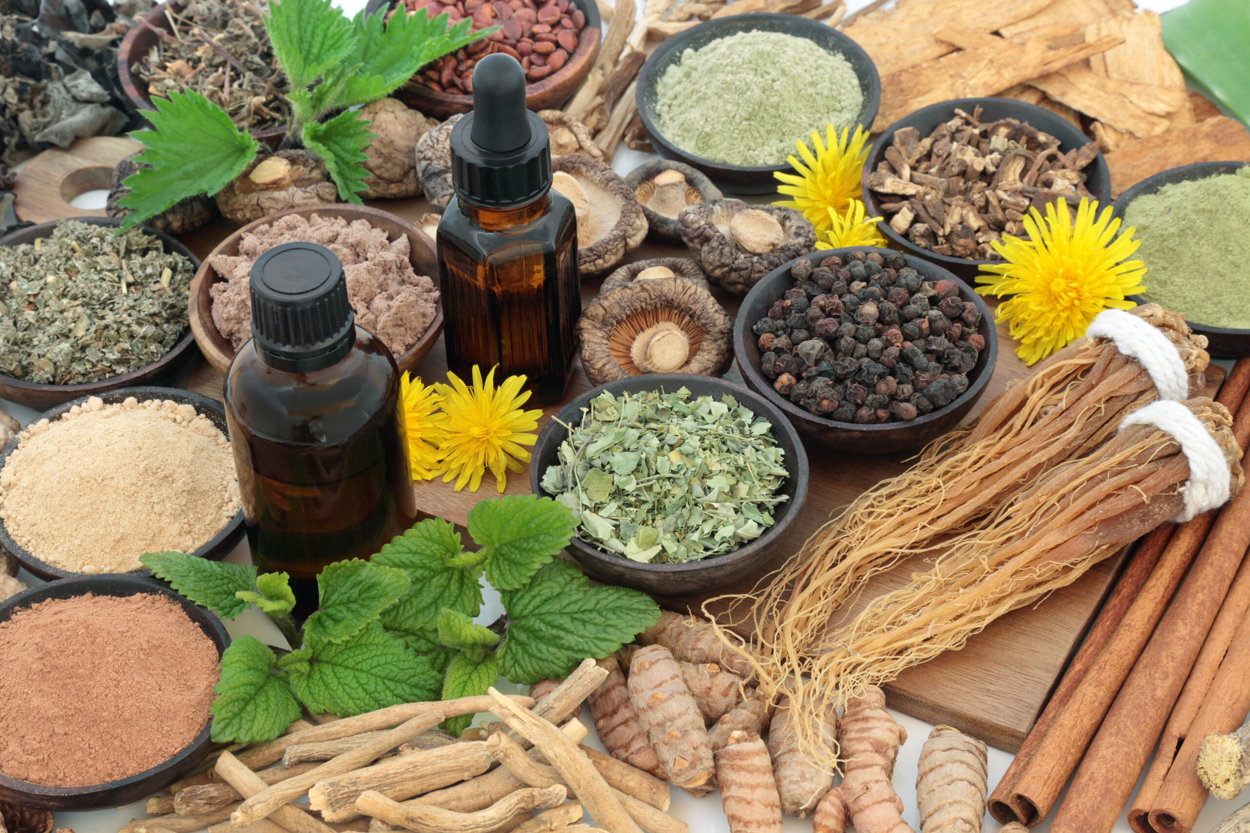 A sampling of adaptogens