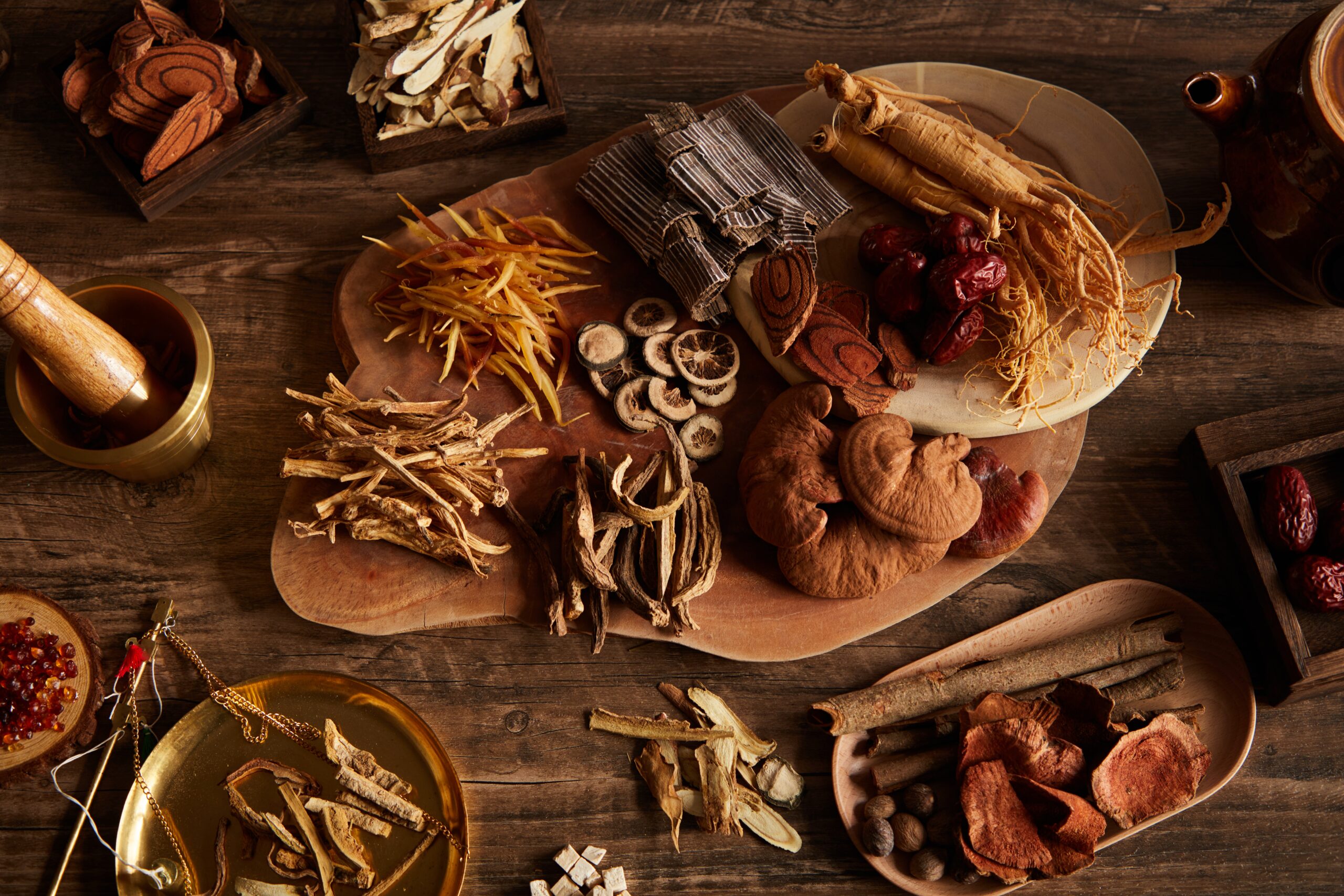 Medicinal Mushrooms: Nature’s Superfood for Health and Wellness