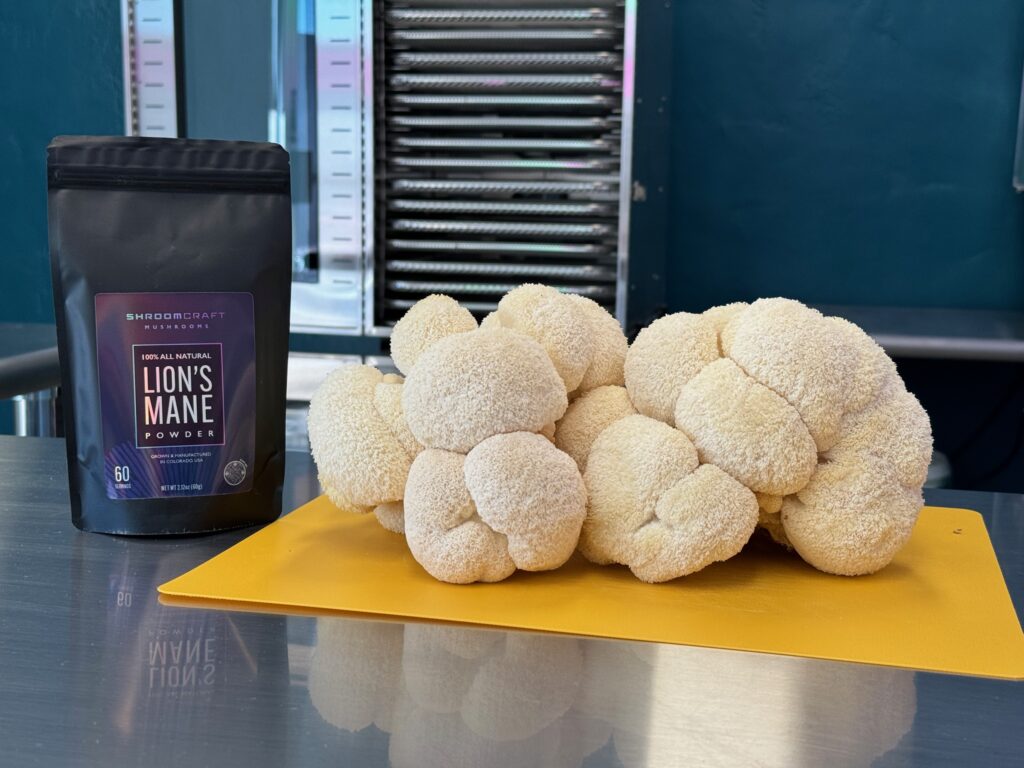 Lion’s mane powder